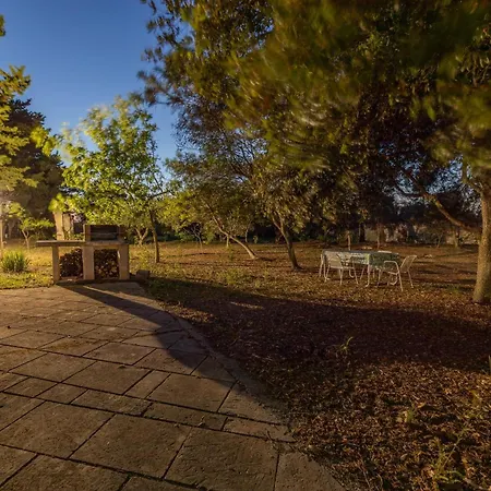 Oasi * ספקיולה